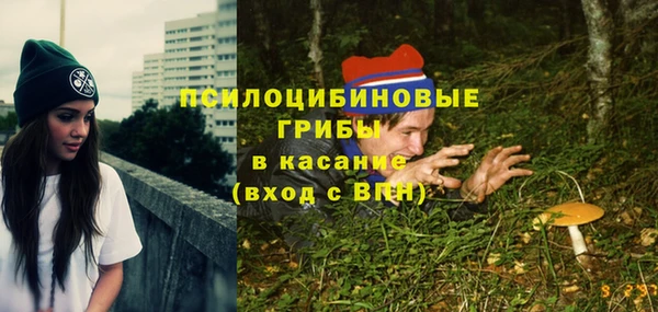 бутират Алексин